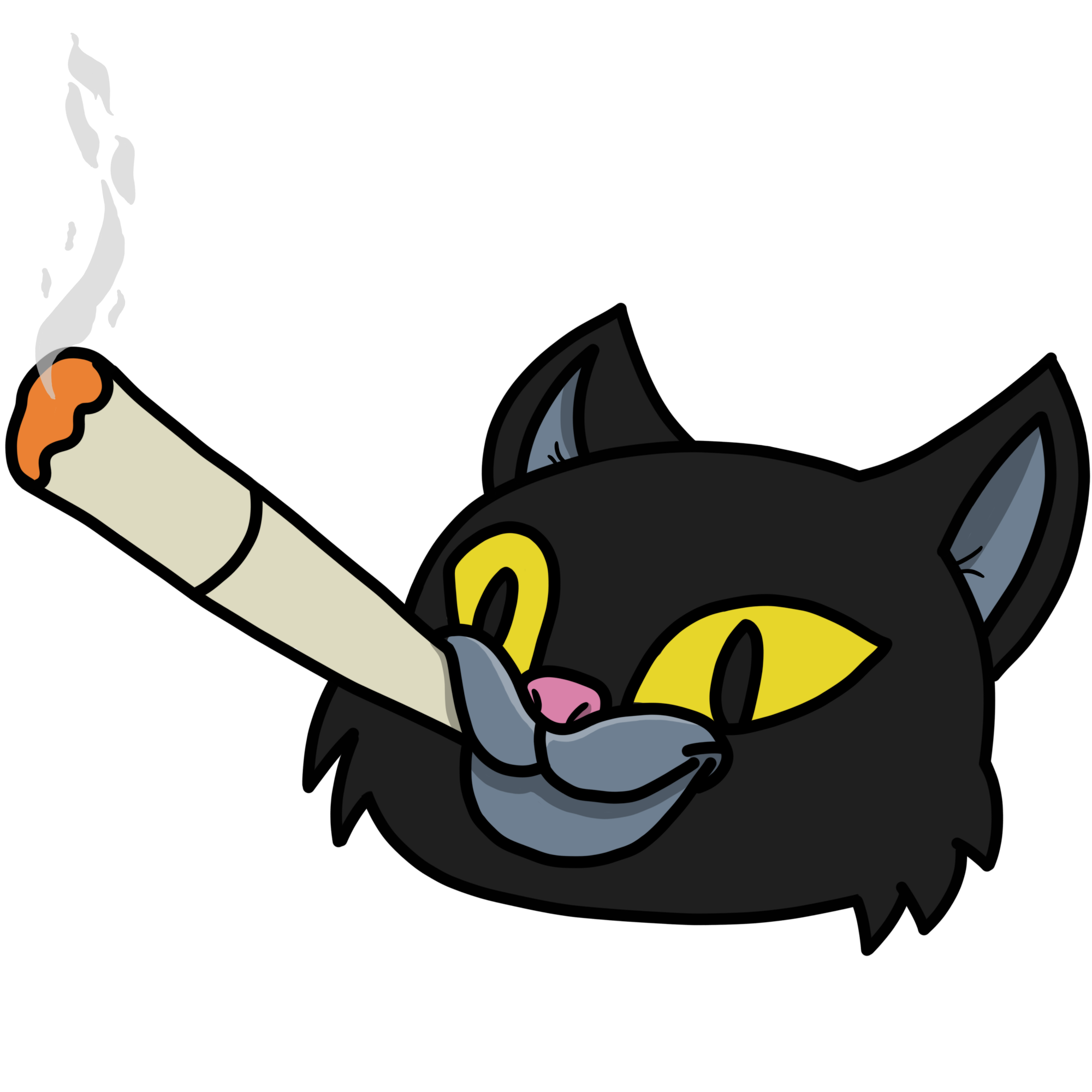 cat.png